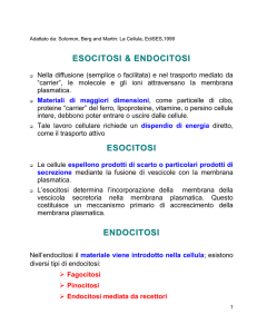Endocitosi
