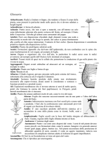 File - SCIENZE BIOLOGICHE