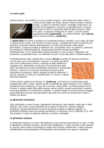 La nostra pelle - Studio Dermatologico Belsito