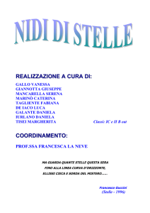 Nidi di stelle - Le meraviglie dell`Universo