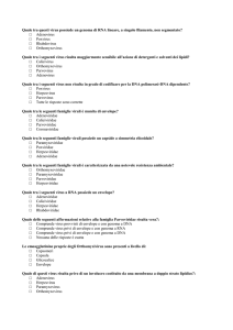 Virologia File - Progetto e