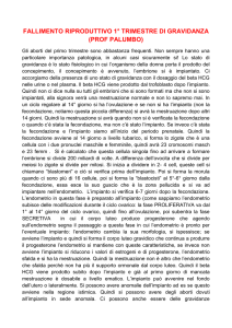 Fallimento Riproduttivo 1° Trimestre di Gravidanza