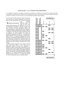 PARTE SECONDA - Le biotecnologie in azione: la tecnica del DNA