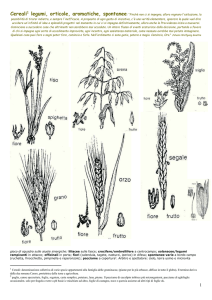 Botanica alimentare - Digilander