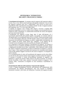 02_Intervento_Visioli