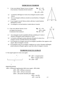 TEOREMI GUIDATI