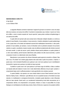 Neuroscienze e conflitto