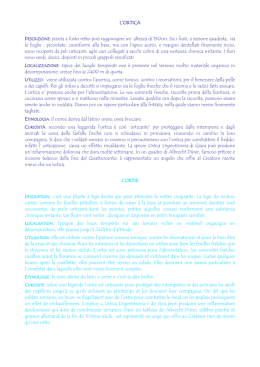 migliaia di annunci di siviglia pappagalli femme mure libertino migliaia di annunci di siviglia pappagalli femme mure libertino