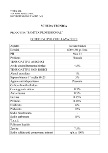 scheda tecnica