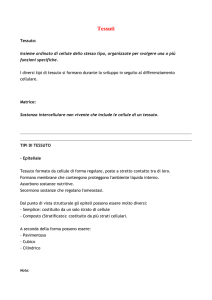 Tessuti Tessuto: Insieme ordinato di cellule dello stesso tipo