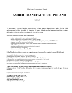 Offerta per le agenzie di viaggio AMBER MANUFACTURE POLAND