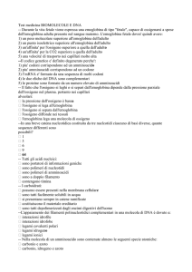 Test medicina BIOMOLECOLE E DNA - "E. Fermi"