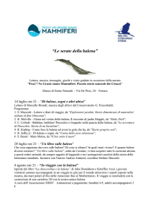 programma-serate-della-balena - Ambiente