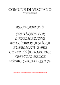 COMUNE DI VISCIANO Provincia di Napoli REGOLAMENTO