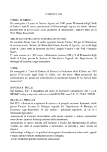 CV 2014_0 - People@UniUd - Università degli Studi di Udine