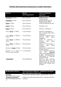 Portfolio delle esperienze professionali in ambito informatico