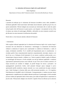 Nello scegliere indicatori appropriati per la valutazione