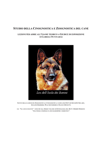 cinognostica – studio del cane