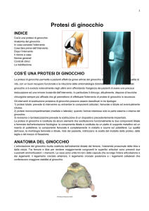 1 Protesi di ginocchio INDICE Cos`è una protesi di ginocchio