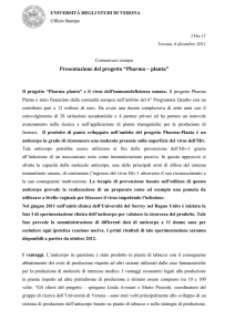 msword (it, 244 KB, 07/12/11) - Università degli Studi di Verona
