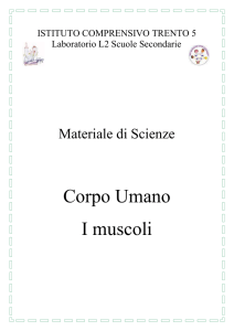I muscoli - Istituto Trento 5