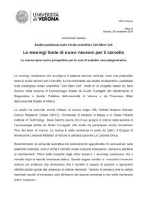 msword (it, 42 KB, 29/11/16) - Università degli Studi di Verona