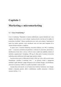 Marketing e micromarketing 1 Capitolo 1 Marketing e