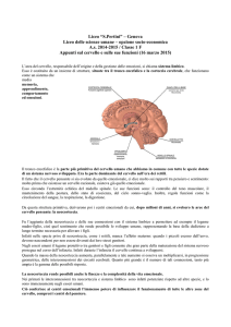 L`area del cervello, responsabile dell`origine e della gestione delle