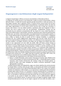 Organogenesi e morfofunzione degli organi linfopoietici