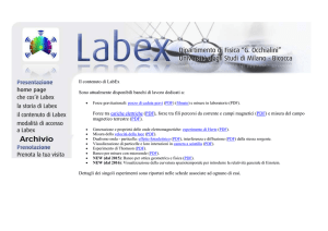 Il contenuto di LabEx Sono attualmente disponibili banchi di lavoro