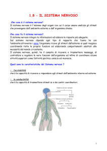1 - Prof. Renato Atzeni