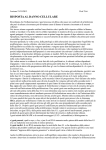 Lezione 21/10/2013 Prof. Teti RISPOSTA AL DANNO CELLULARE