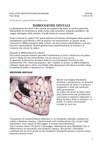 malattie odontostomatologiche 31/03/08 - Digilander