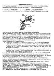 carcinoma mammario