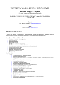 LABINF-MED-VI-2005-2006-programma