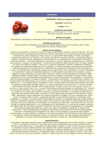 pomodoro - Farmacia S. Antonio – Brescia