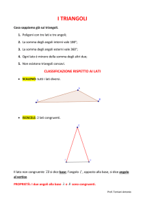 Teoria Triangoli - "G. Segantini" Asso