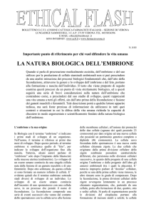n°08 La natura biologica dell´embrione