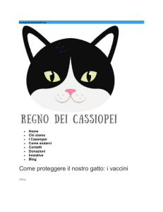 Come proteggere il nostro gatto: i vaccini : Cassiopei : http://www