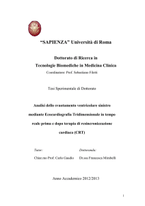 universita` degli studi di roma - Padis