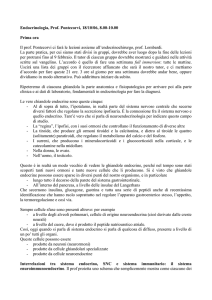 Endocrinologia, Prof. Pontecorvi, 18/10/06, 8.00-10.00