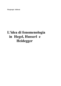 L`idea di fenomenologia