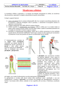 LA CELLULA