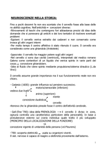 evoluzione del cervello