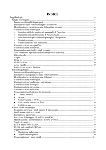 Microarray - Conservazione degli alimenti