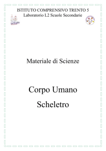 scheletro - Istituto Trento 5