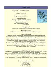Agnus Castus - Farmacia S. Antonio – Brescia