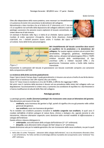 Patologia Generale – 8/11/2012 sera – 3^ parte – Batetta Giulia