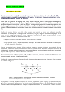 FisMed-2007_8