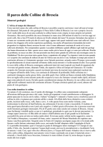 Il parco delle Colline di Brescia Itinerari geologici L`Africa al tempo